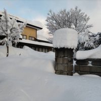 新潟の雪