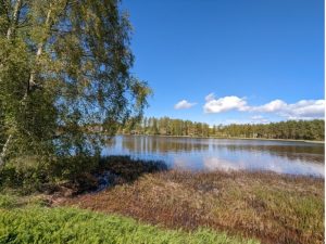 図2 フィンランド Kuivasjarviの夏の風景