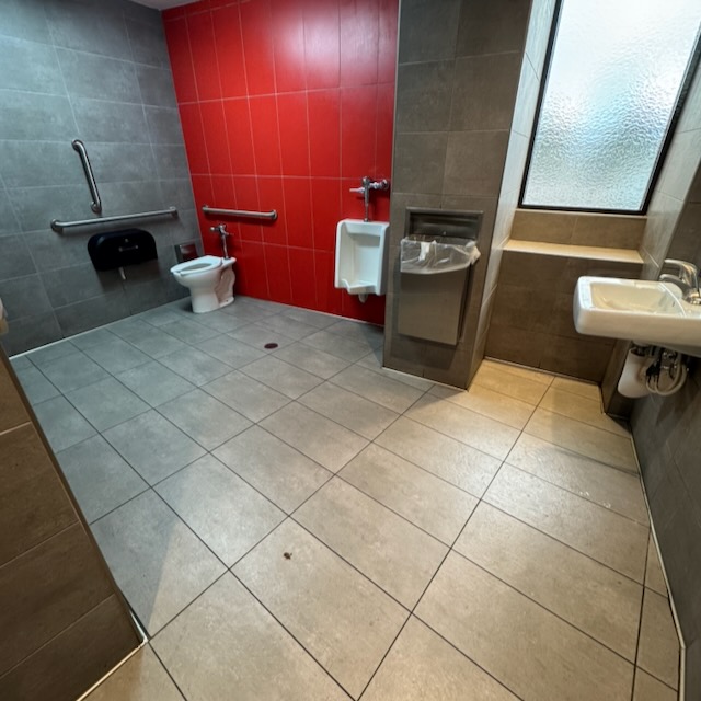 トイレ。広すぎる。12畳くらいあるが、端に便器が一つあるだけ。